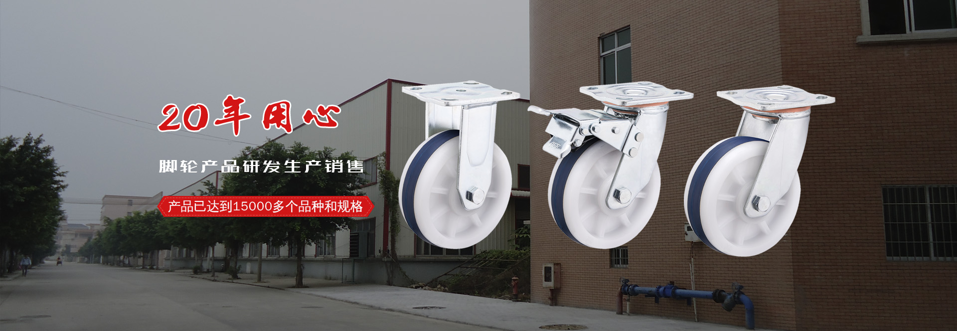 �����T���T�Fƽ�_